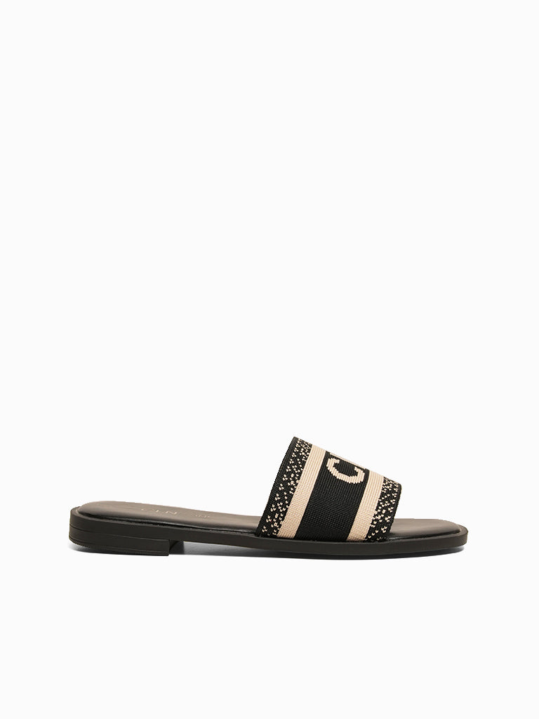 Cecilia Slides