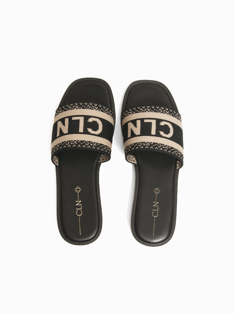Cecilia Slides