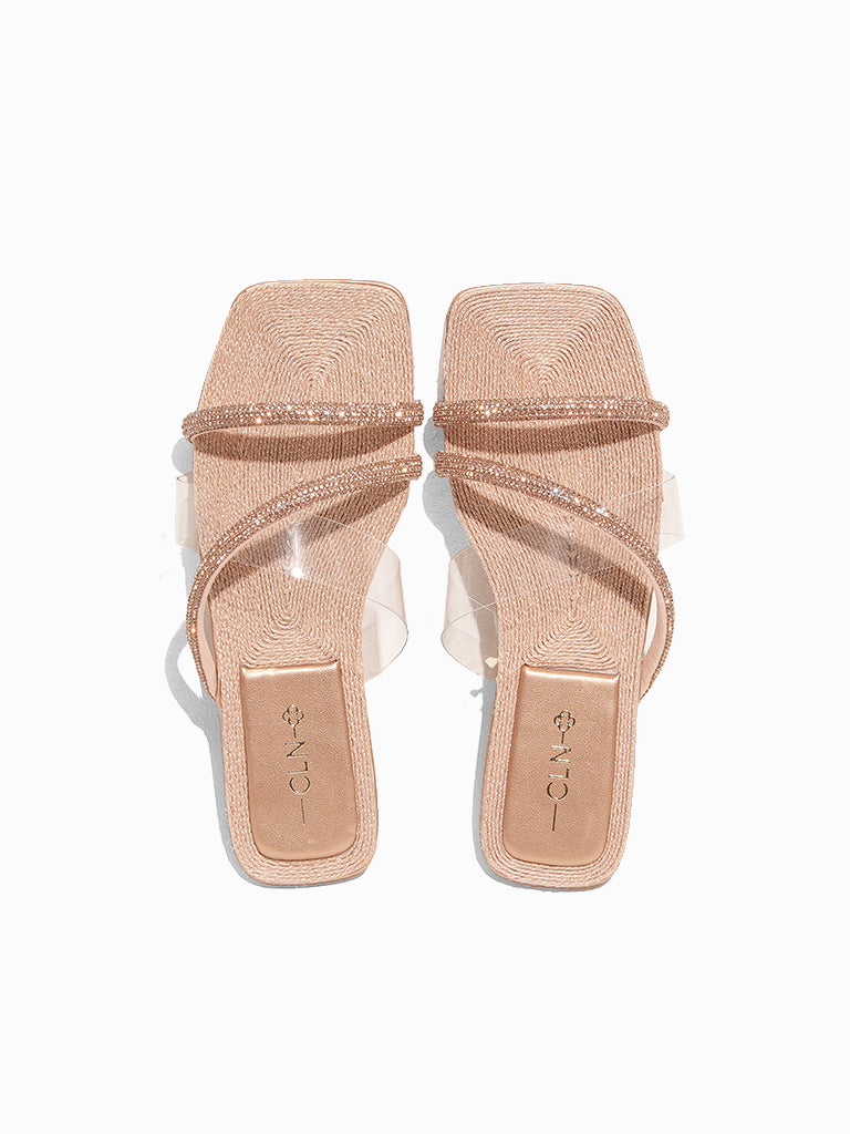 Dabria Slides