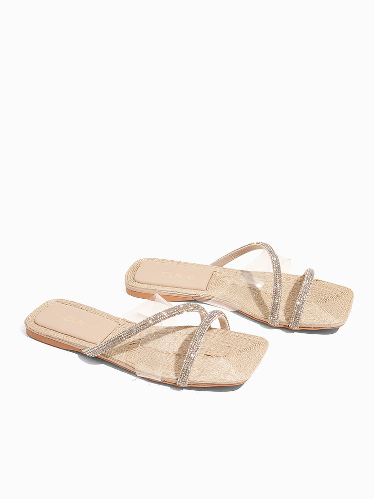 Dabria Slides