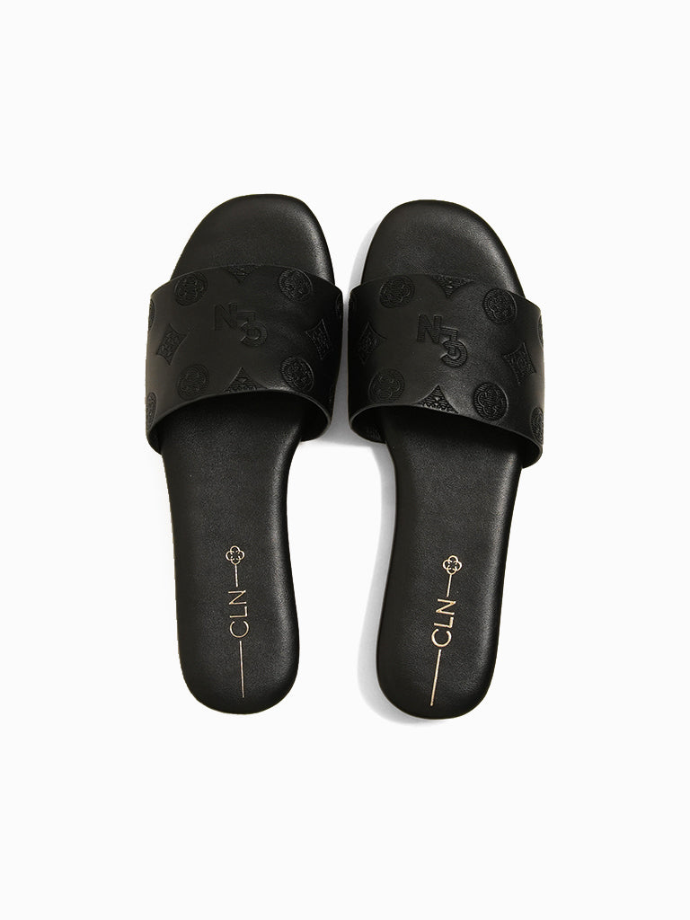 Roan Slides