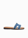 Adler Slides