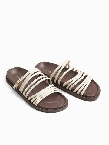 Amadee Slides