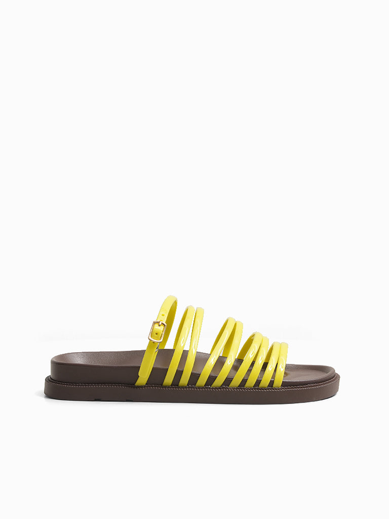 Amadee Slides