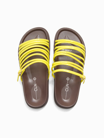 Amadee Slides