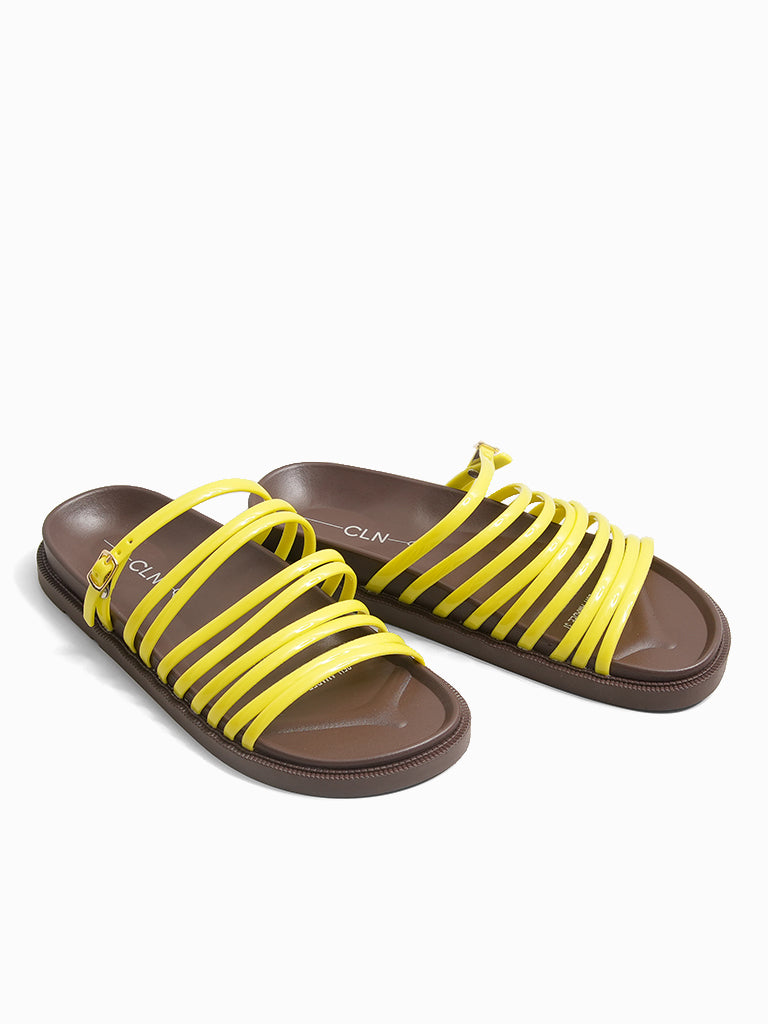 Amadee Slides