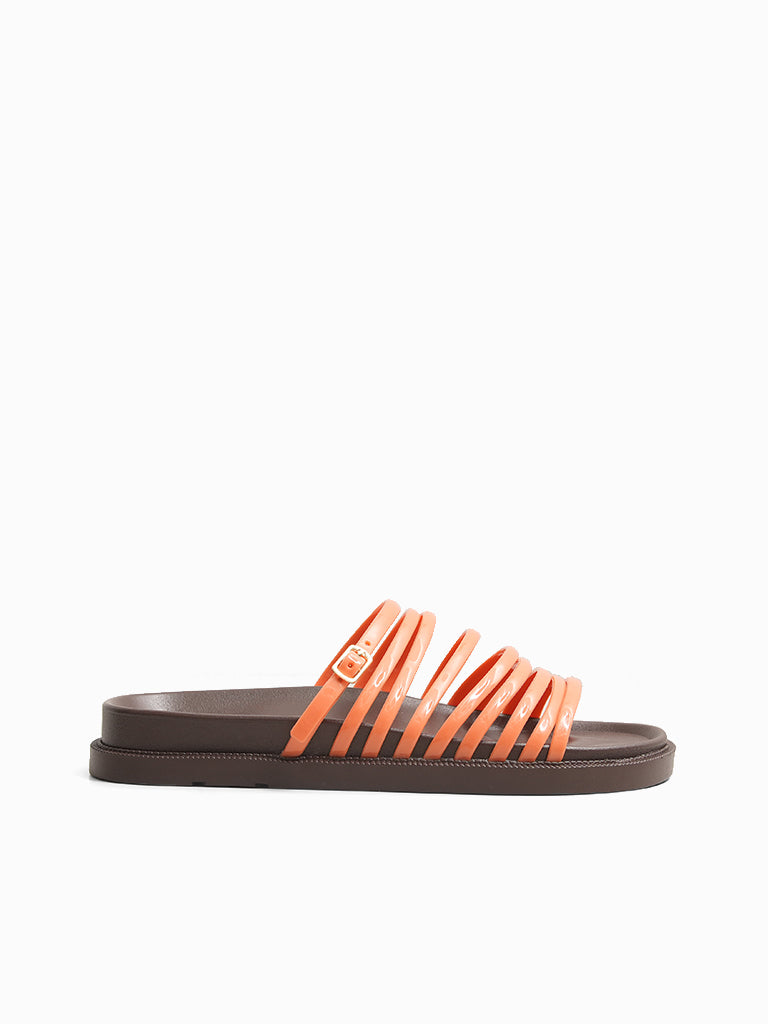 Amadee Slides
