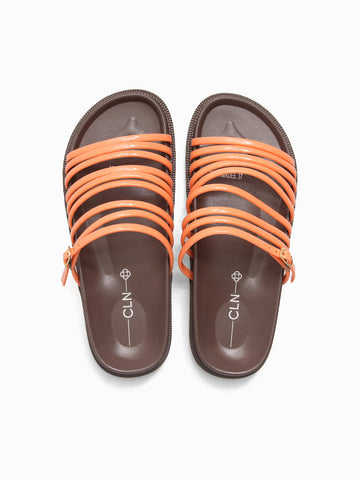 Amadee Slides