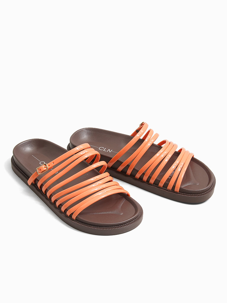 Amadee Slides