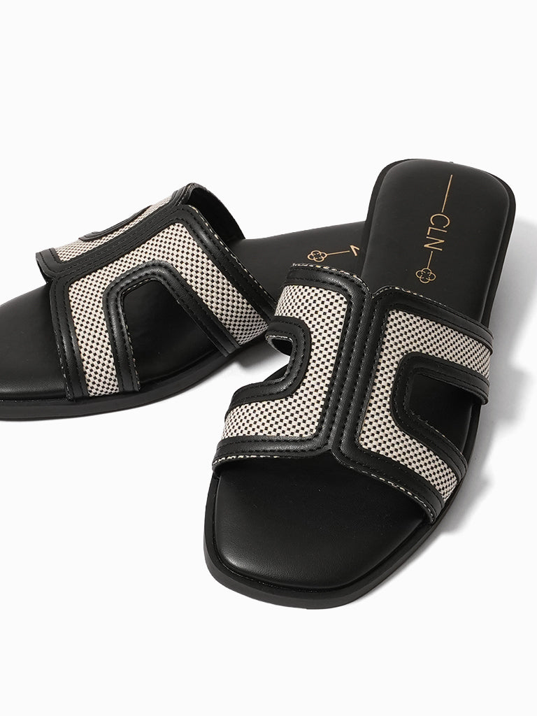 Ania Slides