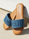 Avina Slides