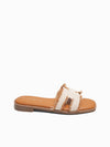Aziel Slides