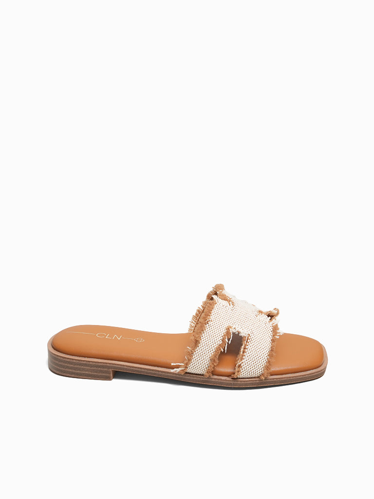 Aziel Slides