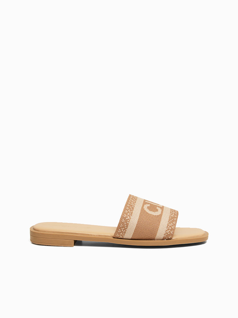 Cecilia Slides