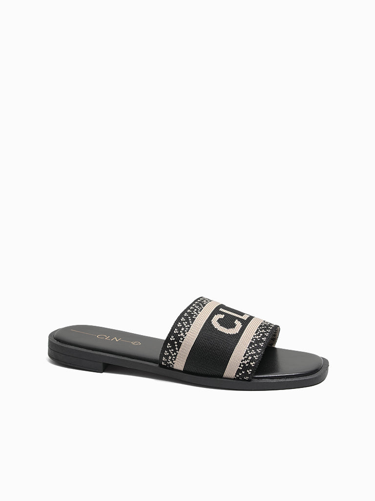 Cecilia Slides