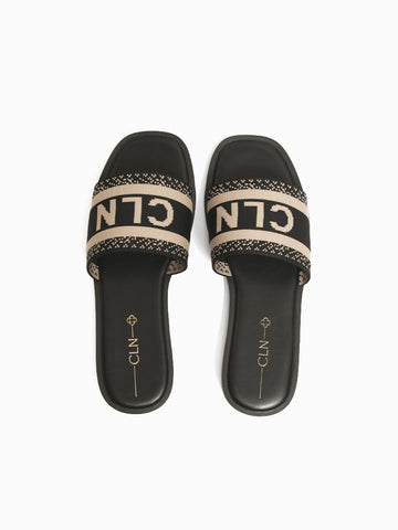 Cecilia Slides