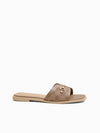 Celie Slides