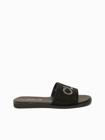 Chase Slides