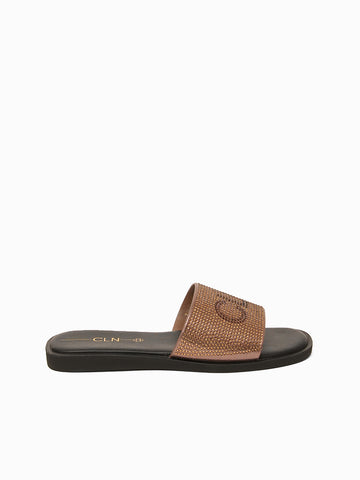 Chase Slides
