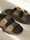 Cidra Slides