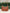 Criza Shoulder Bag