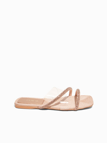 Dabria Slides