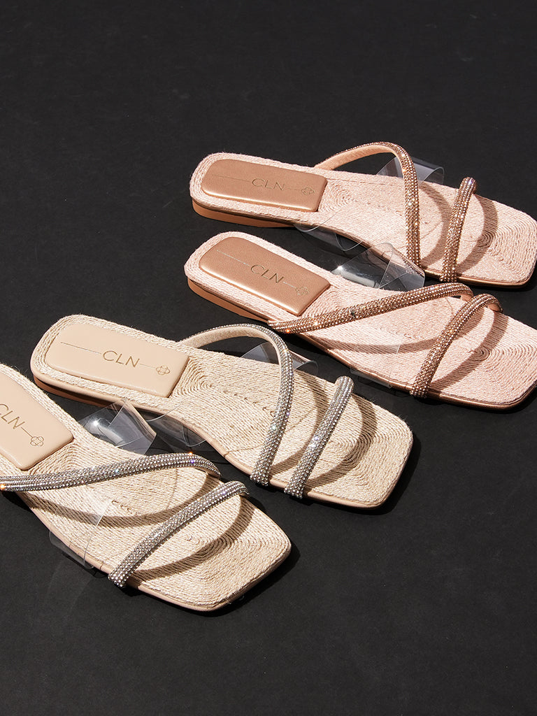 Dabria Slides