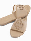 Danae Slides