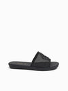 Danae Slides
