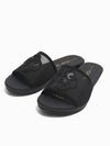 Danae Slides