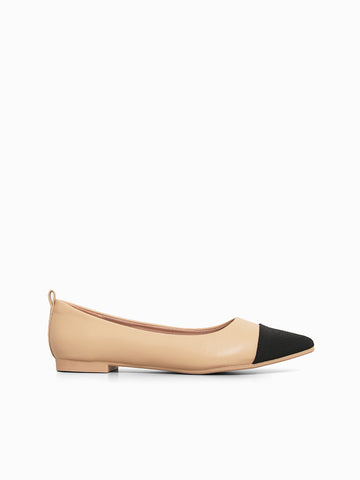Denise Ballerinas