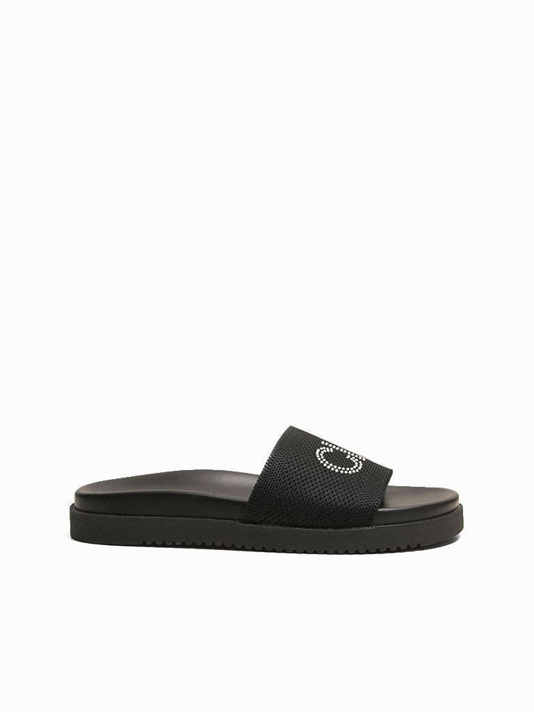 Ellen Slides