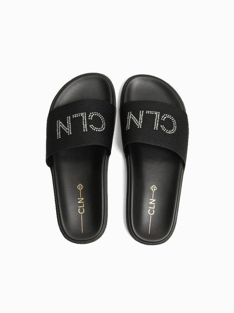 Ellen Slides