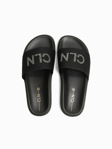 Ellen Slides