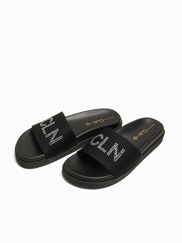 Ellen Slides
