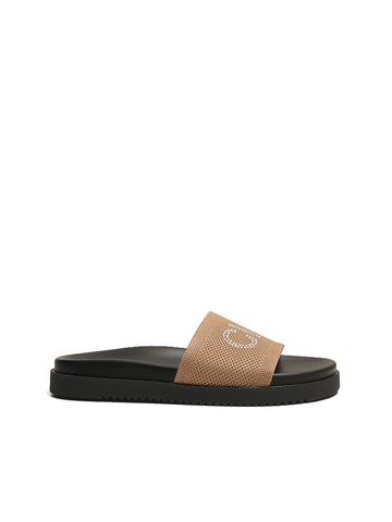 Ellen Slides
