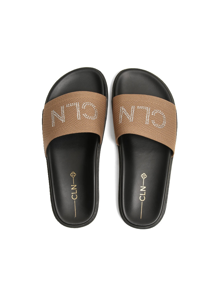 Ellen Slides