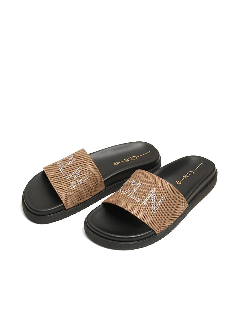 Ellen Slides
