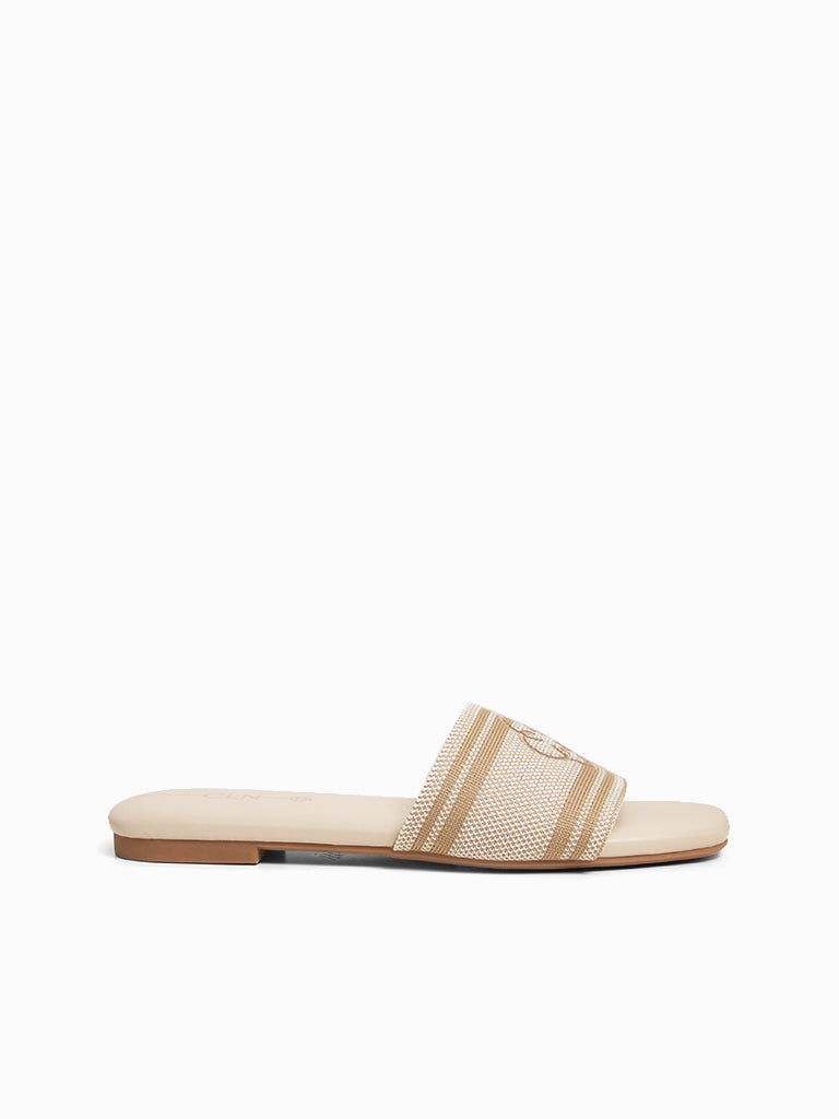 Endive Slides