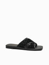 Gaia Slides