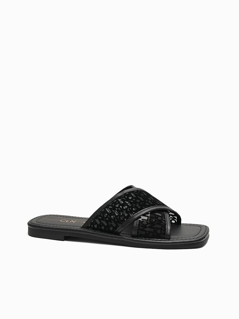 Gaia Slides