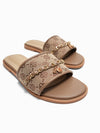 Haina Slides