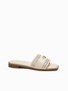 Healy Slides