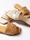 Healy Slides