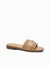 Healy Slides