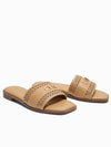 Healy Slides