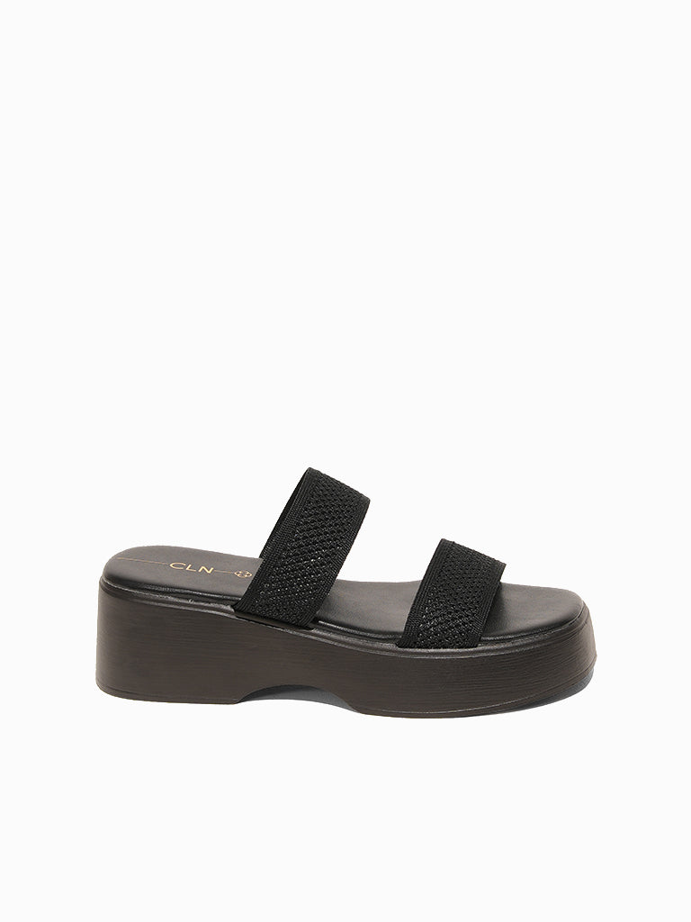 Helia Platform  Slides