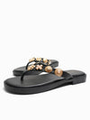 Lovanya Slides