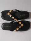Lovanya Slides