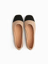Maxwell Ballerinas
